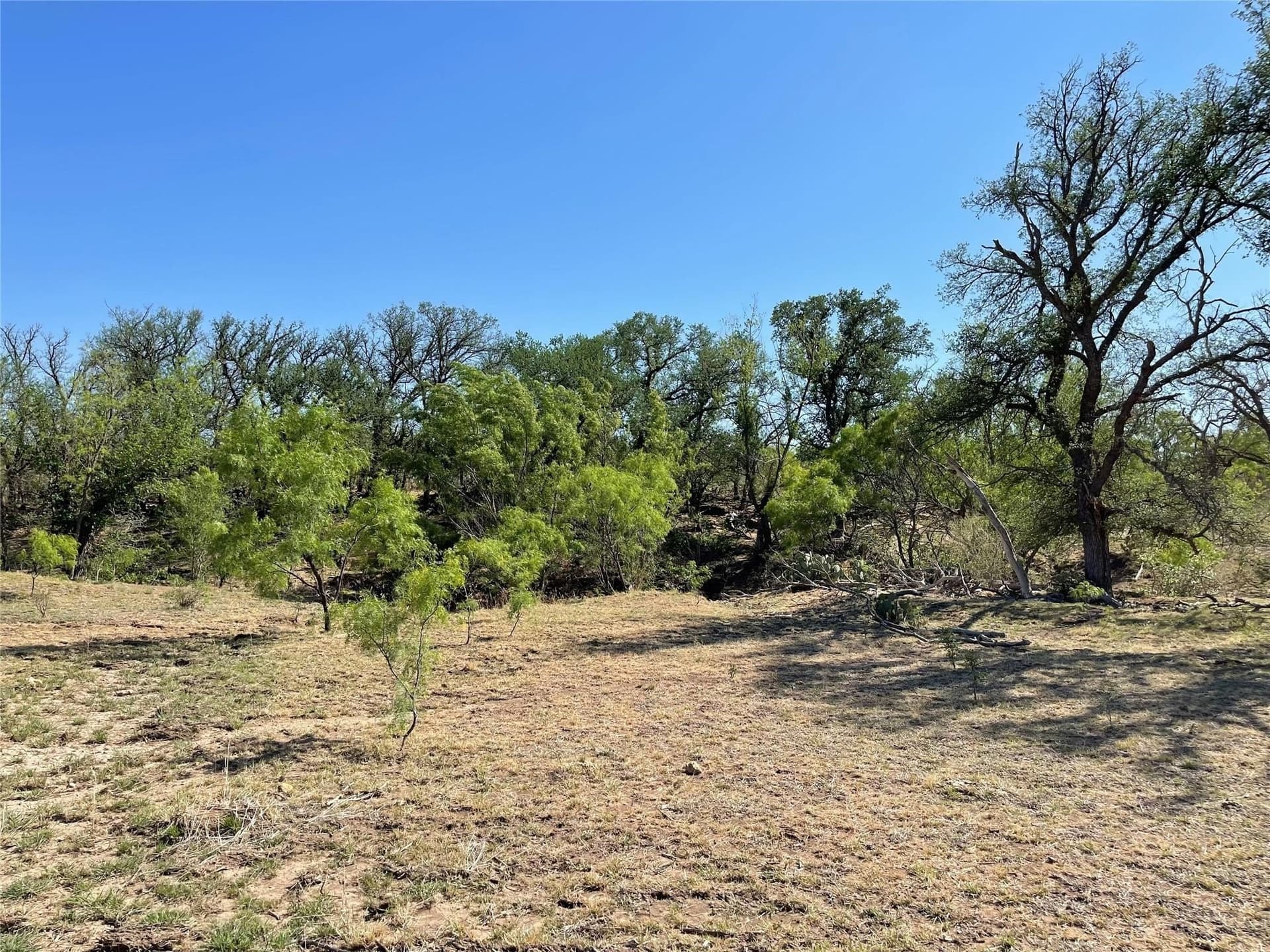 429 acres in Coleman County - photo 25