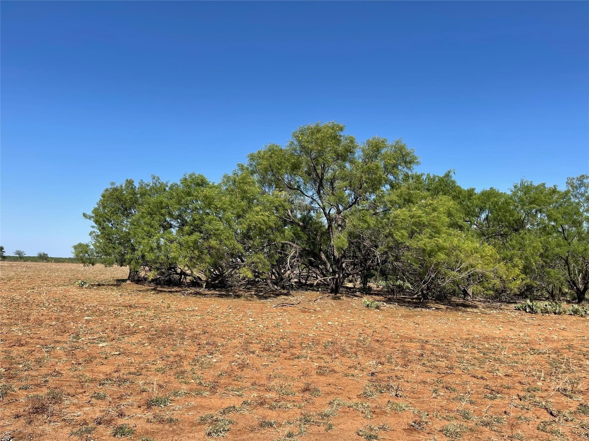 429 acres in Coleman County - photo 31