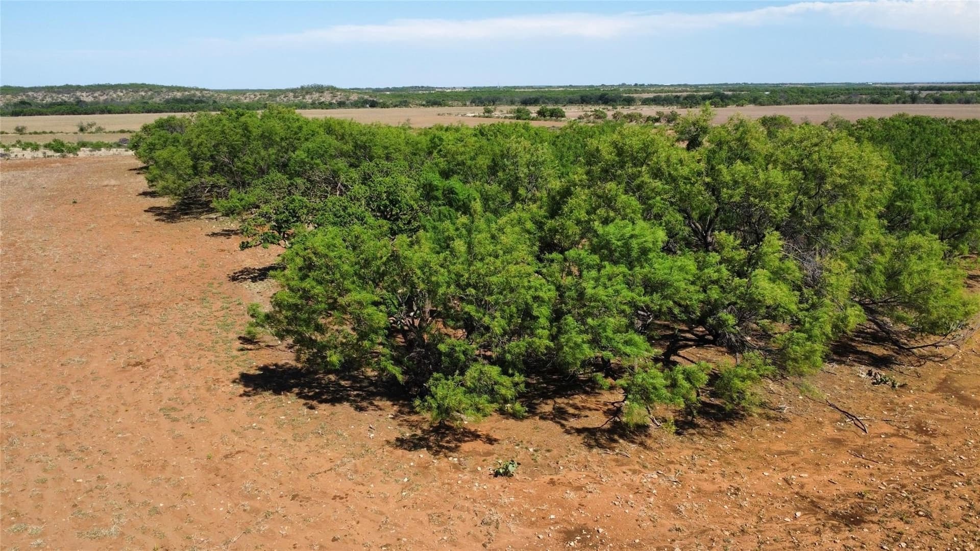 429 acres in Coleman County - photo 36