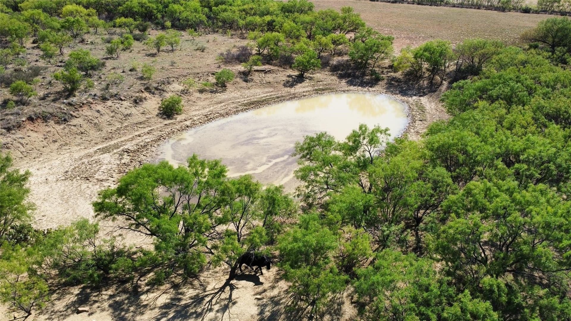 429 acres in Coleman County - photo 30
