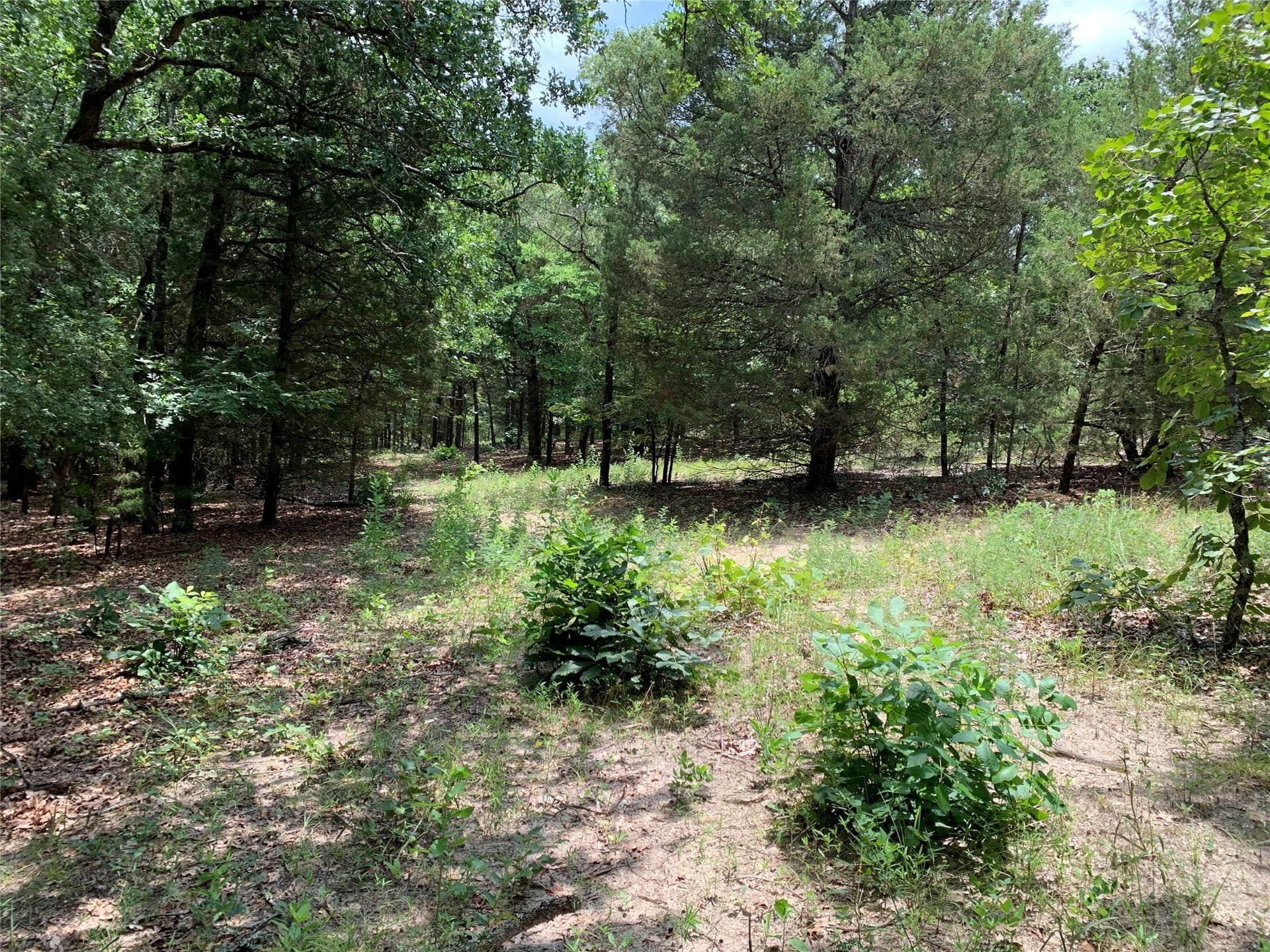 40.44 acres in Henderson County - photo 20