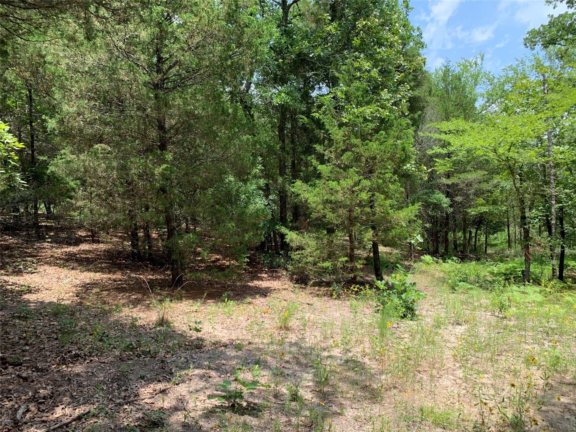 40.44 acres in Henderson County - photo 17