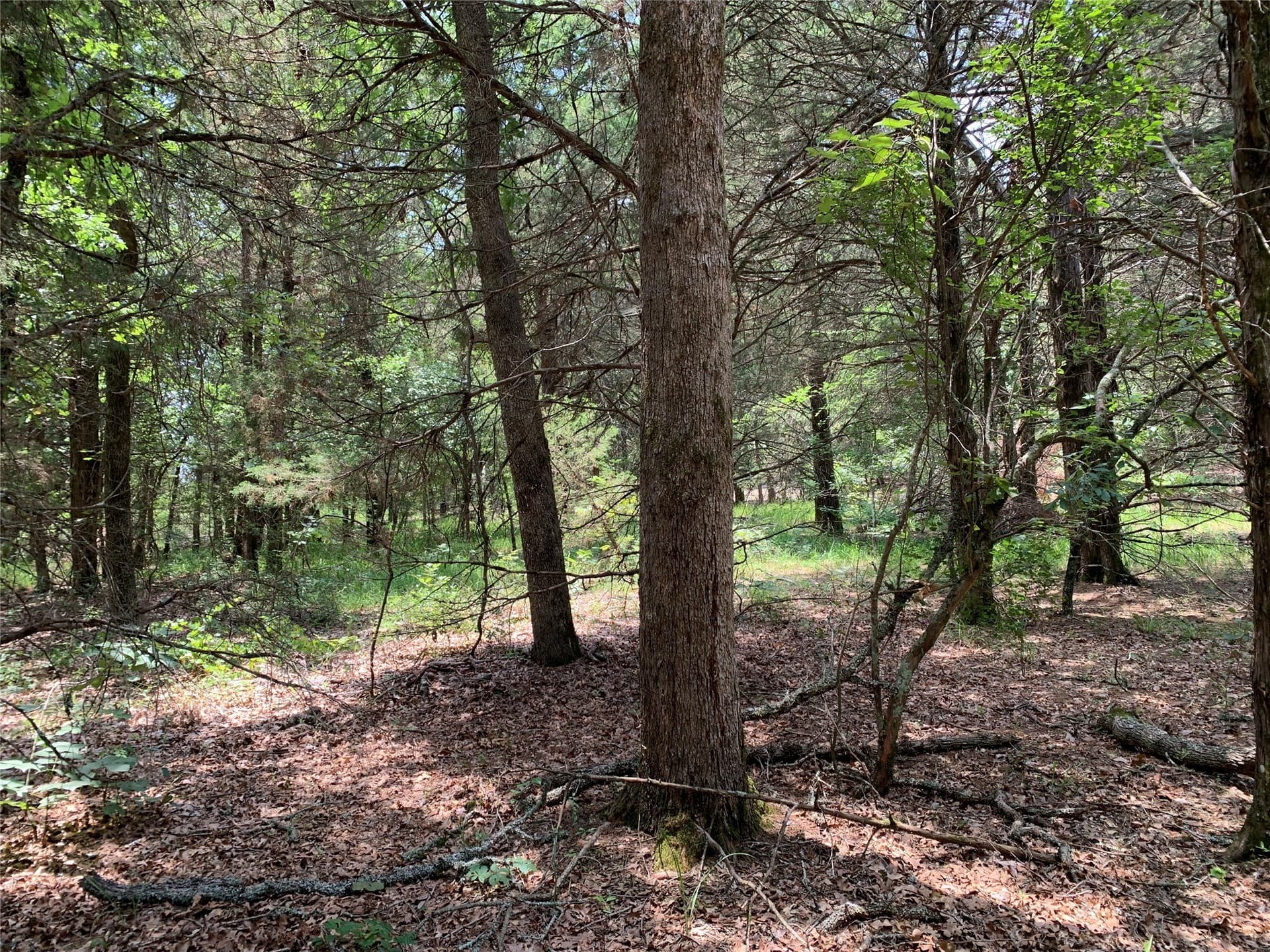40.44 acres in Henderson County - photo 21