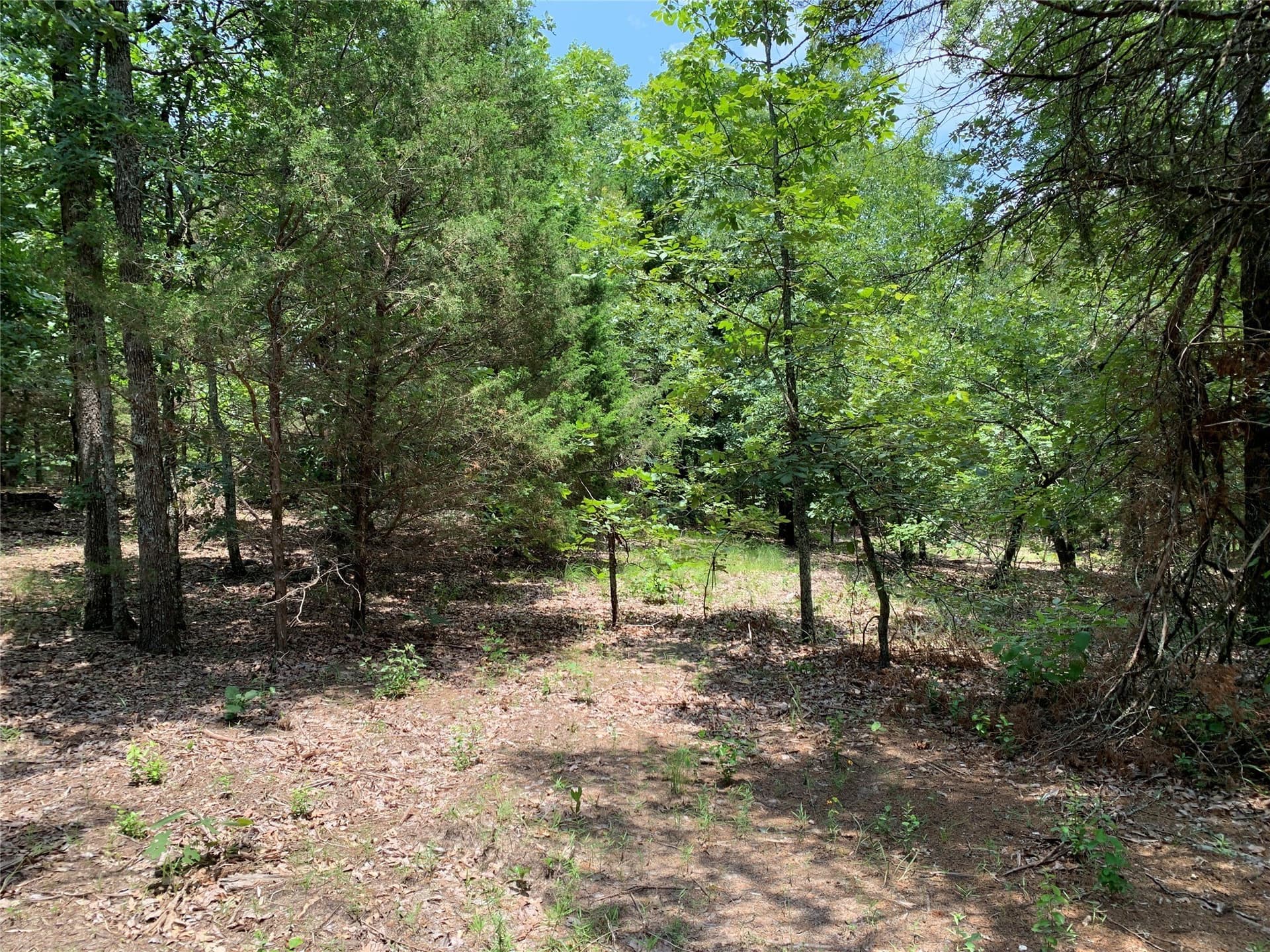 40.44 acres in Henderson County - photo 10