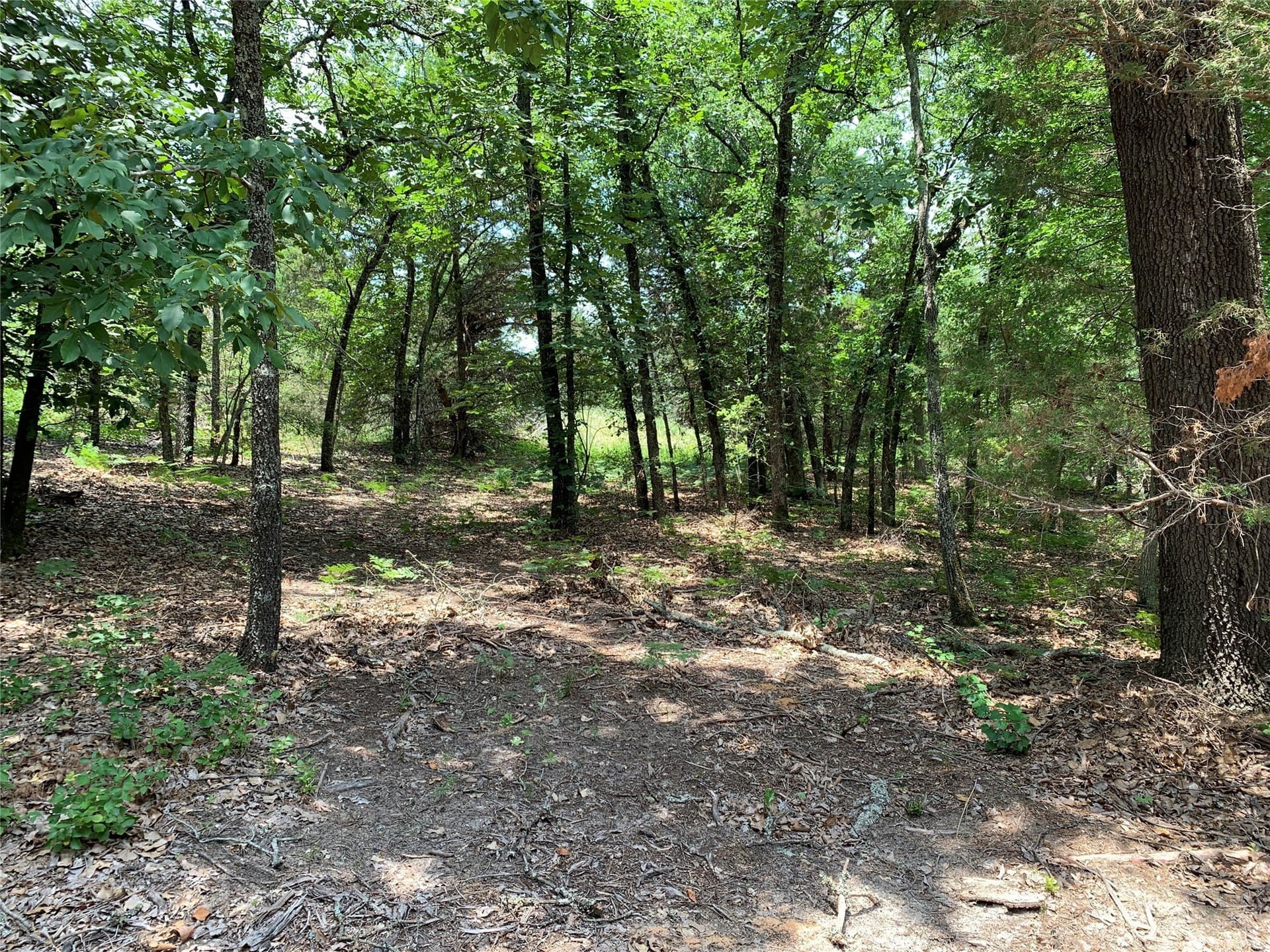 40.44 acres in Henderson County - photo 11