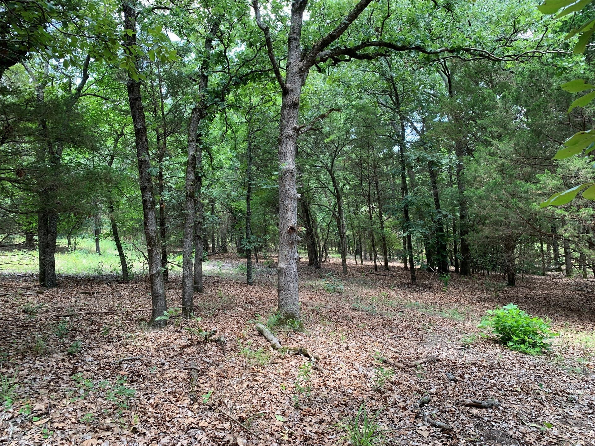 40.44 acres in Henderson County - photo 14