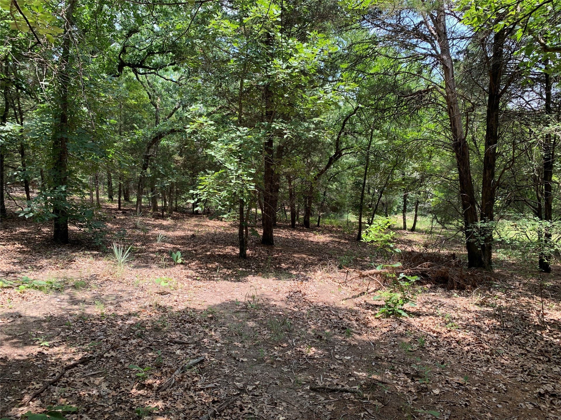 40.44 acres in Henderson County - photo 12