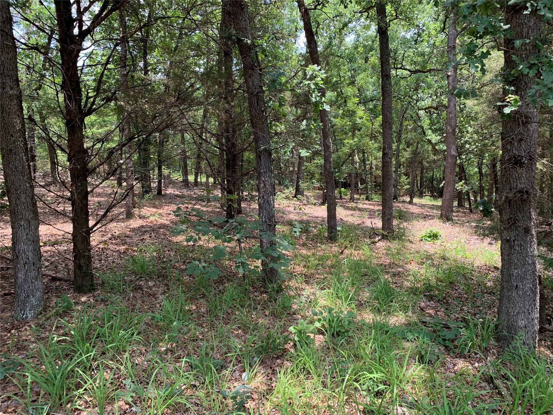 40.44 acres in Henderson County - photo 13