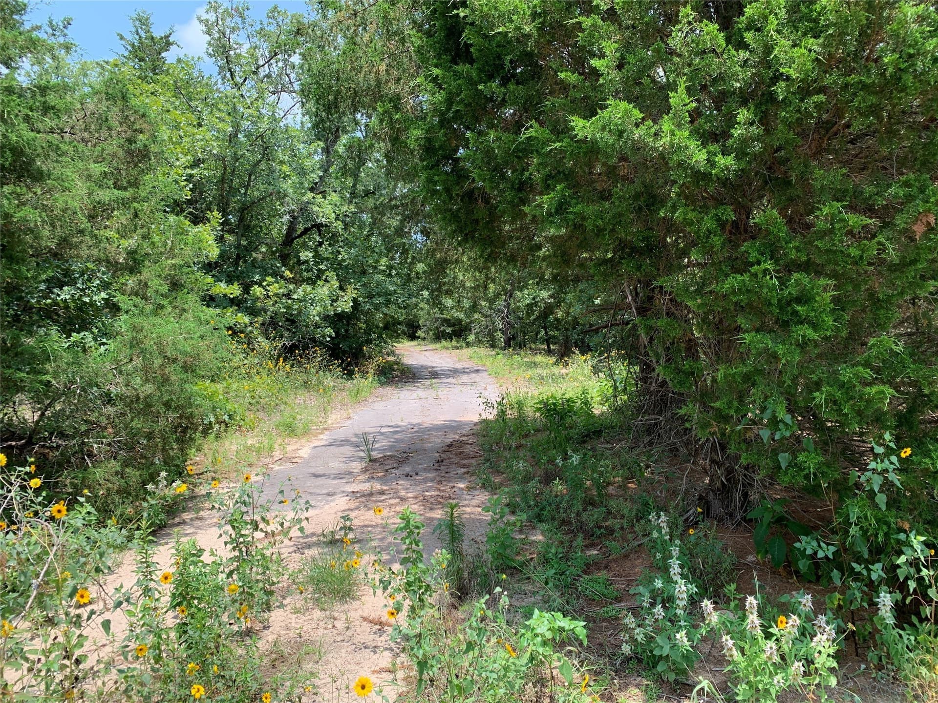 40.44 acres in Henderson County - photo 8