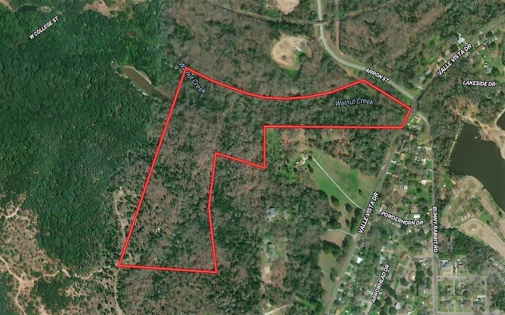 40.44 acres in Henderson County - photo 2