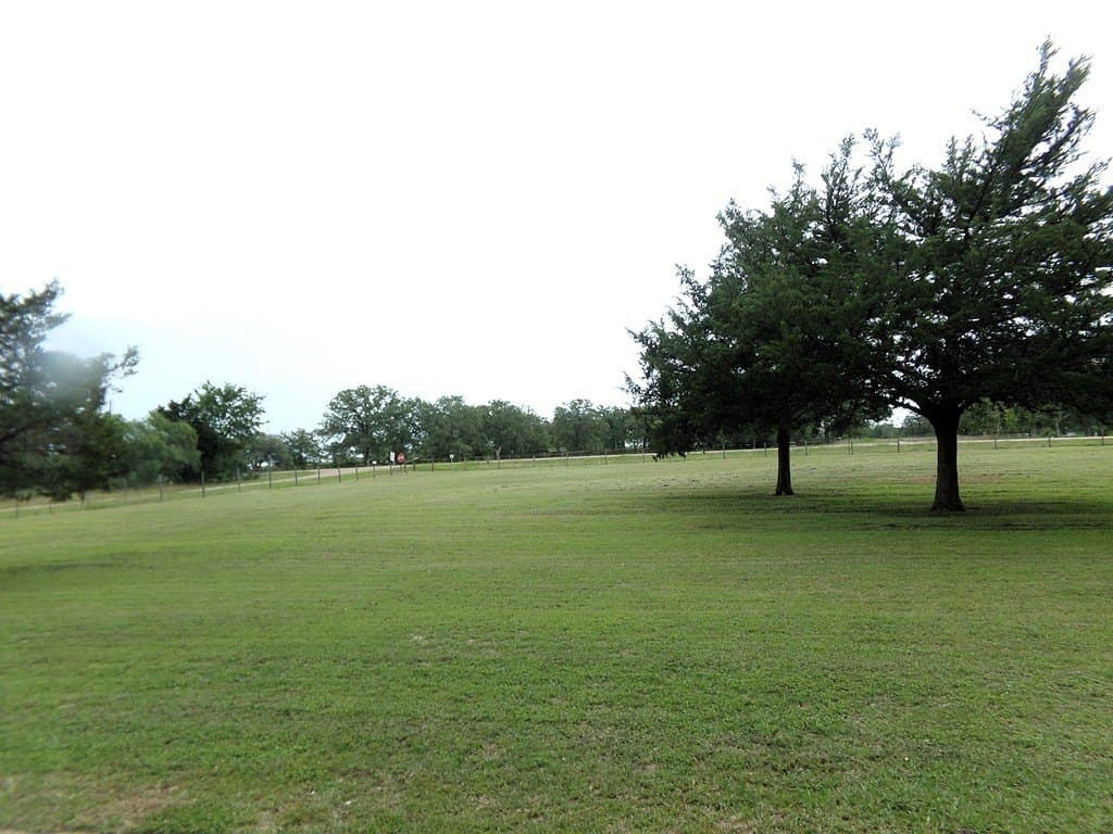 3.98 acres in Colorado County - photo 8