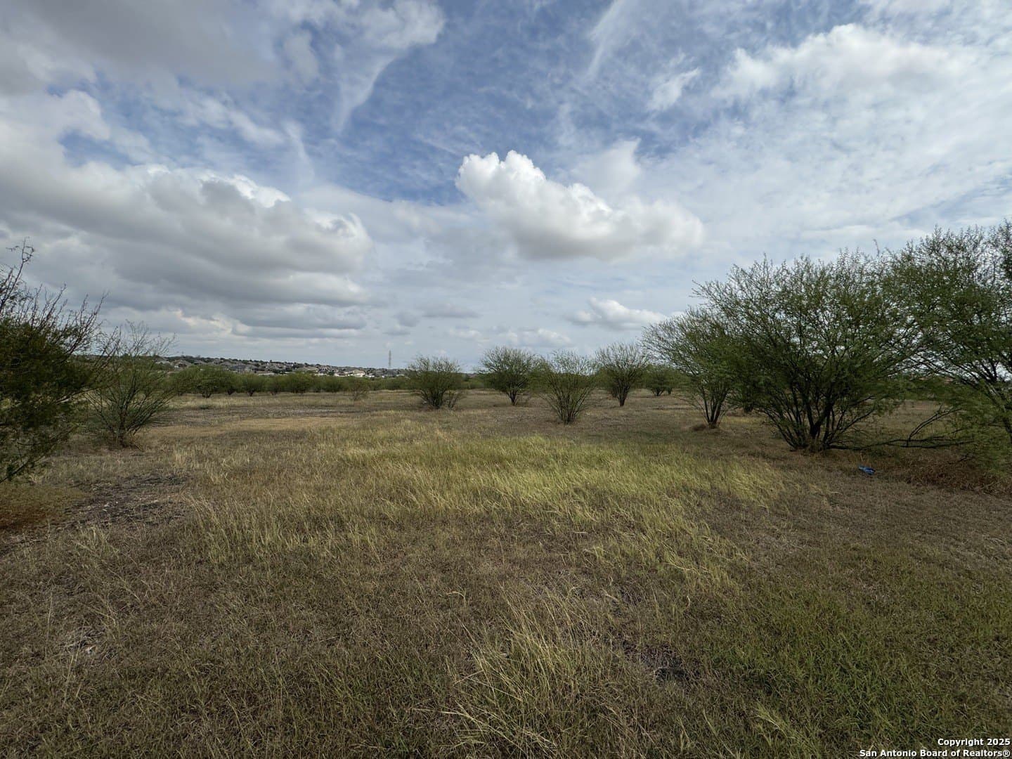 2.5 acres in Guadalupe County gallery image 4