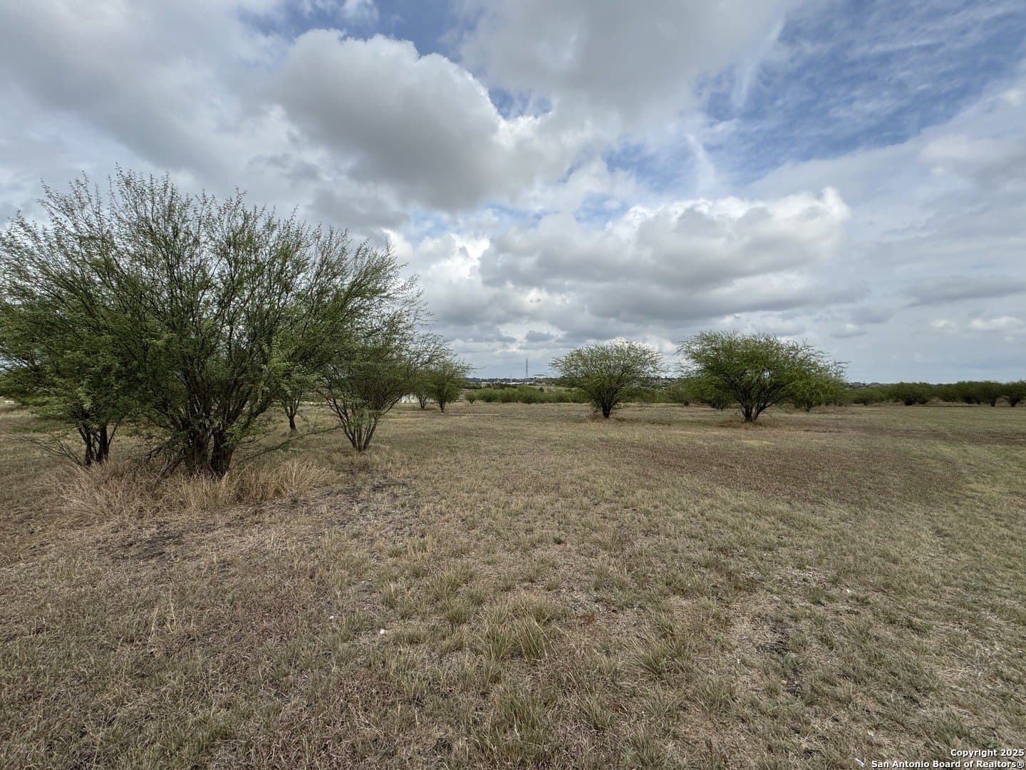 2.5 acres in Guadalupe County