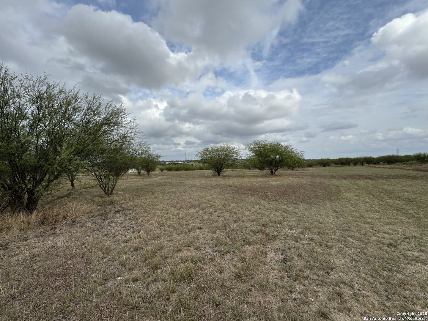 2.5 acres in Guadalupe County gallery image 2