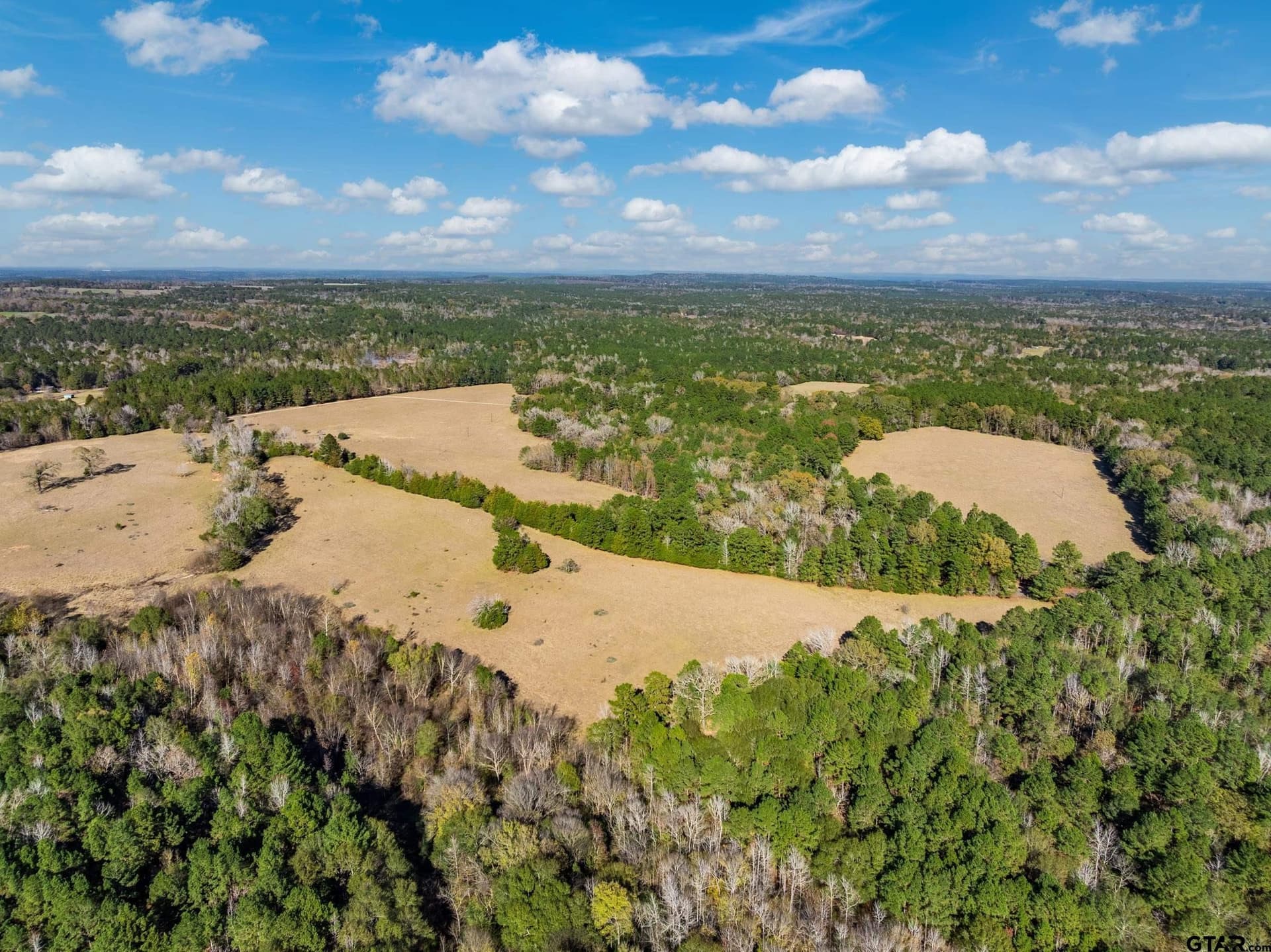 40.29 acres in Anderson County - photo 14