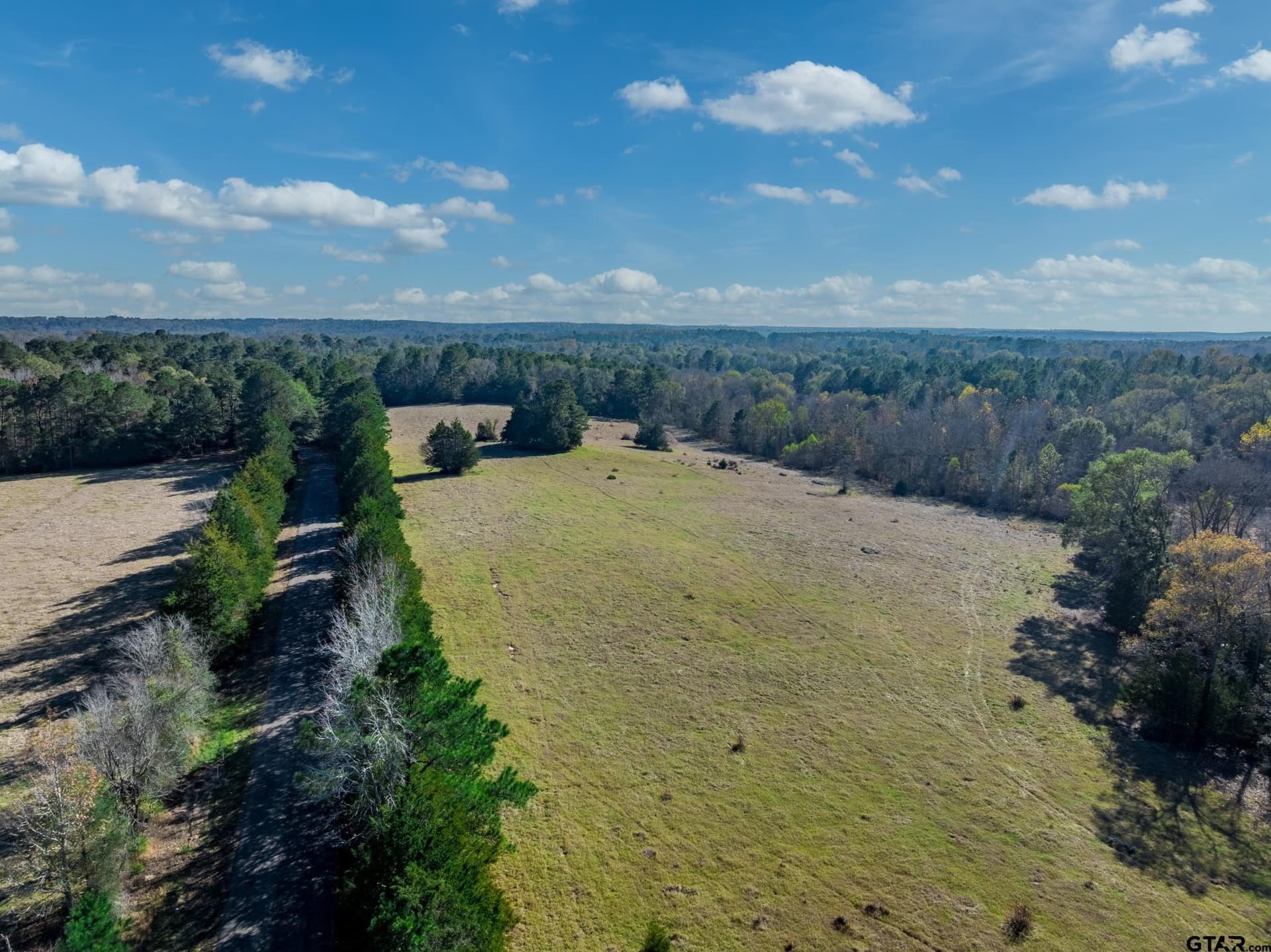 40.29 acres in Anderson County - photo 7