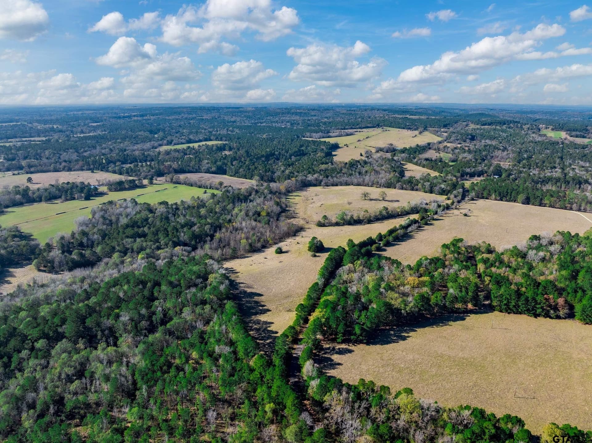 40.29 acres in Anderson County - photo 12