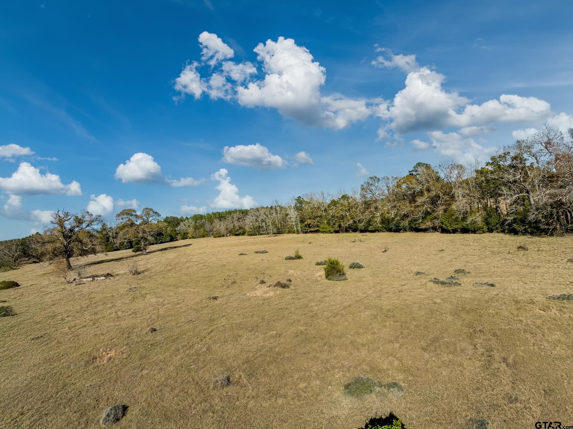 40.29 acres in Anderson County - photo 6
