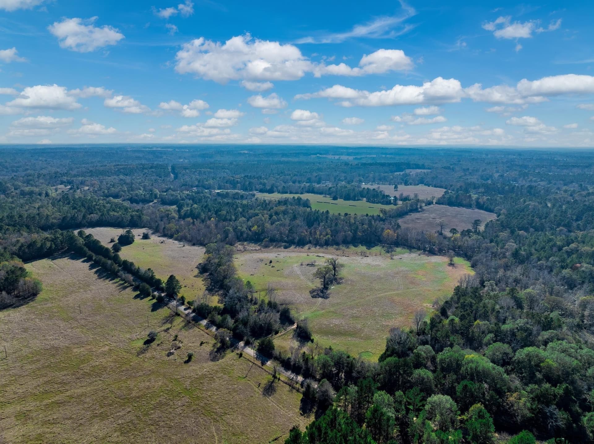40.29 acres in Anderson County - photo 10