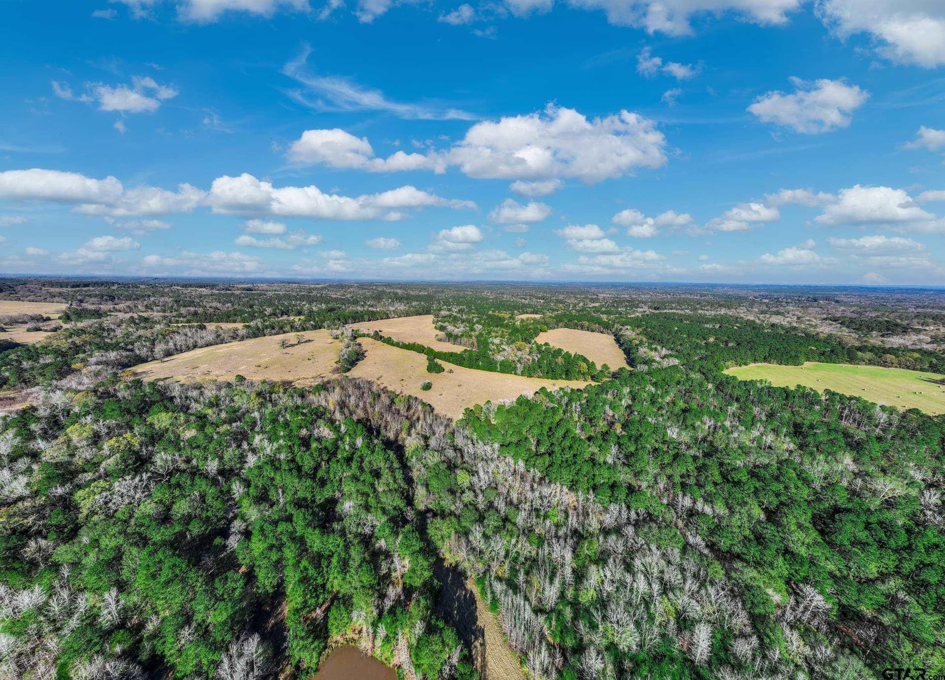 40.29 acres in Anderson County - photo 15