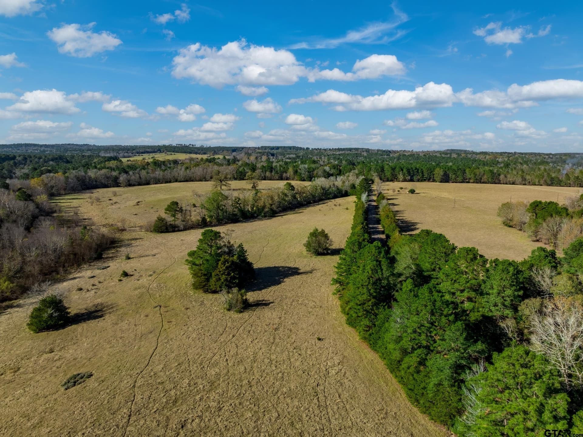 40.29 acres in Anderson County - photo 8