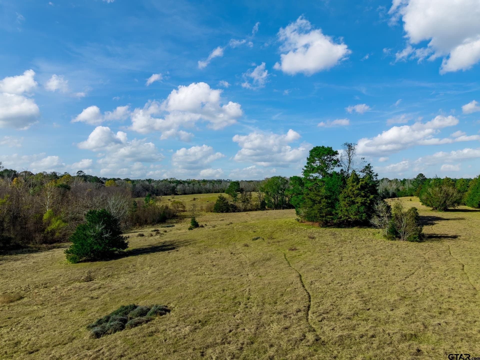 40.29 acres in Anderson County - photo 9