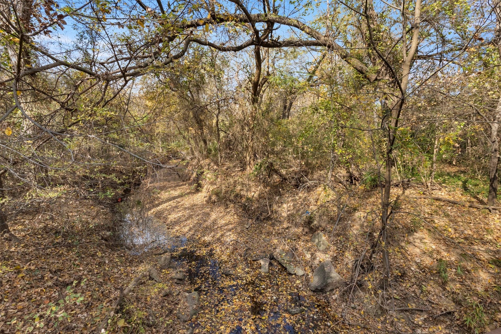 0.46 acres in Denton County gallery image 4