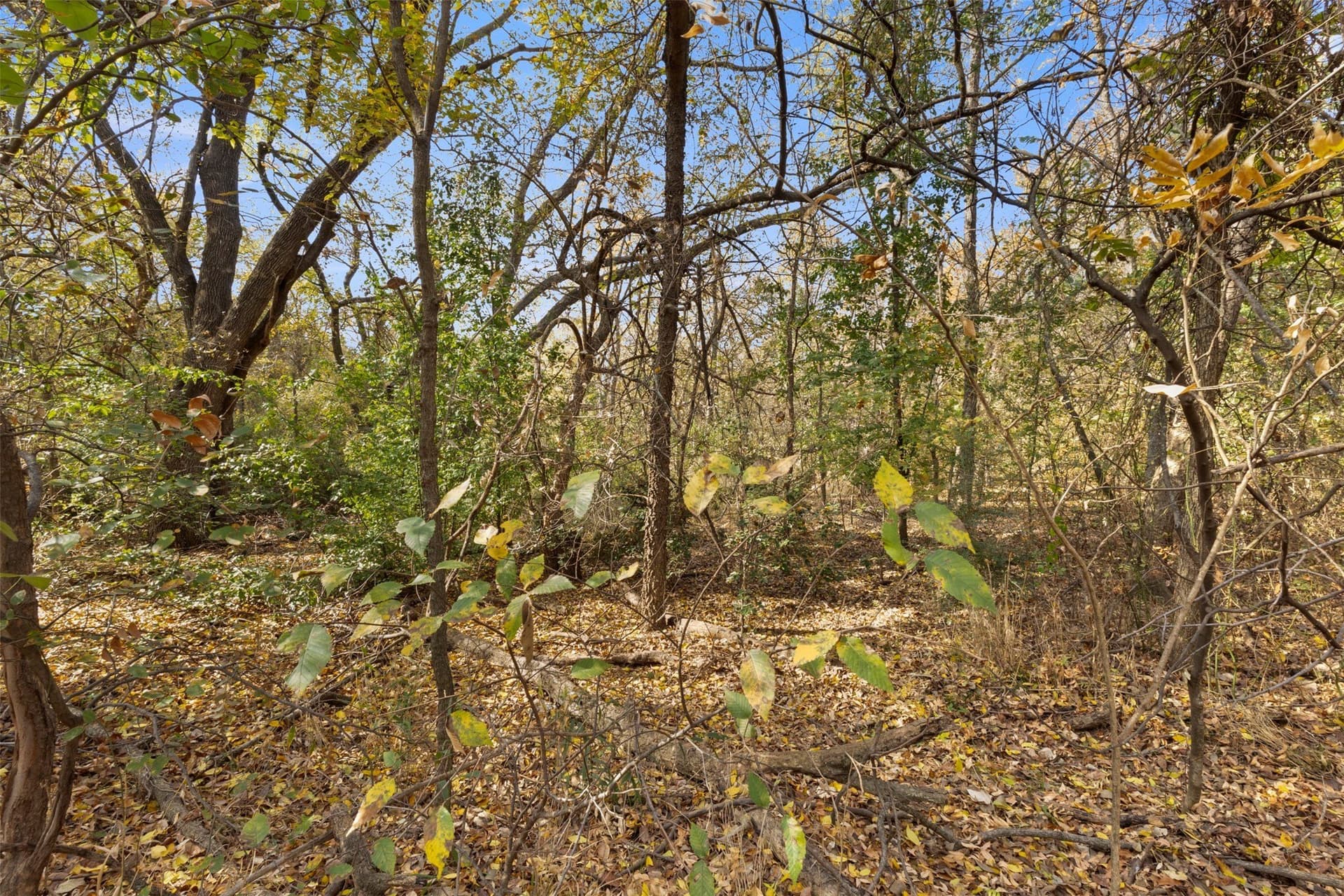 0.46 acres in Denton County - photo 6