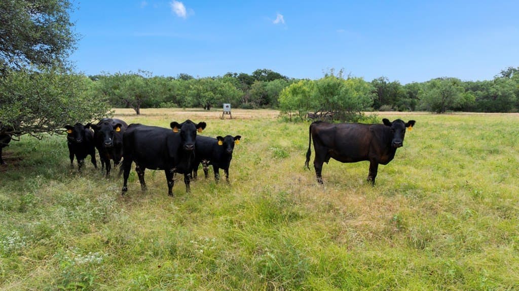400.41 acres in Llano County - photo 81