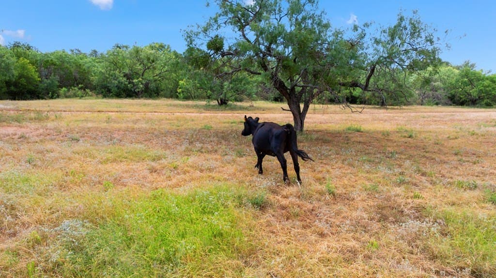 400.41 acres in Llano County - photo 82
