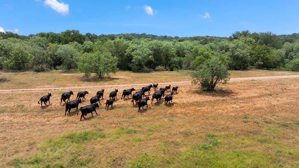 400.41 acres in Llano County - photo 83