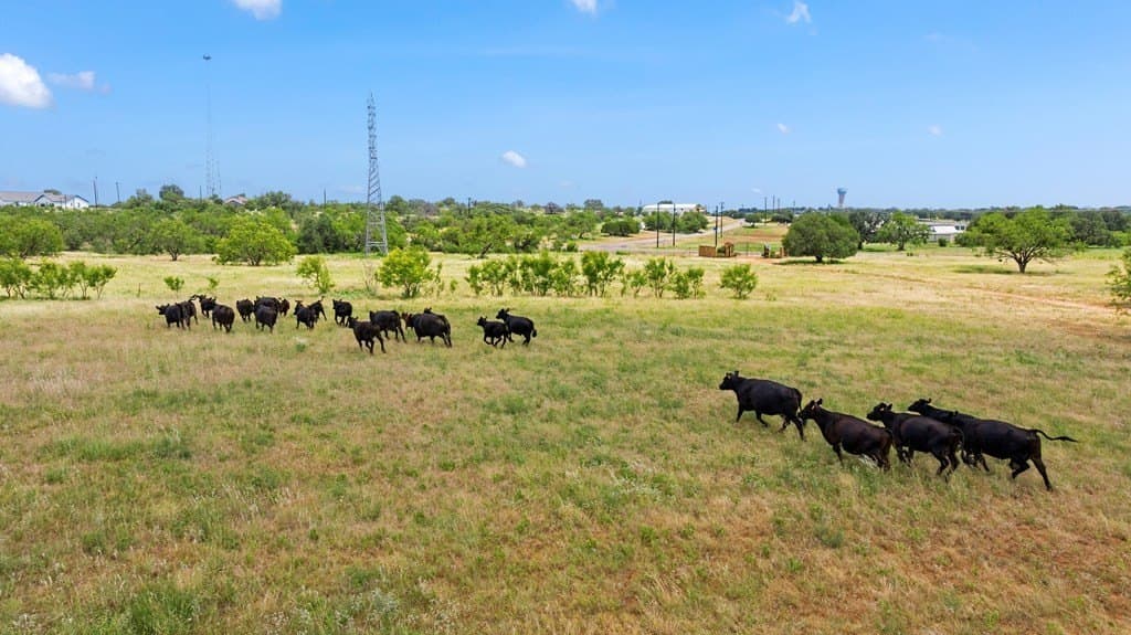 400.41 acres in Llano County - photo 80