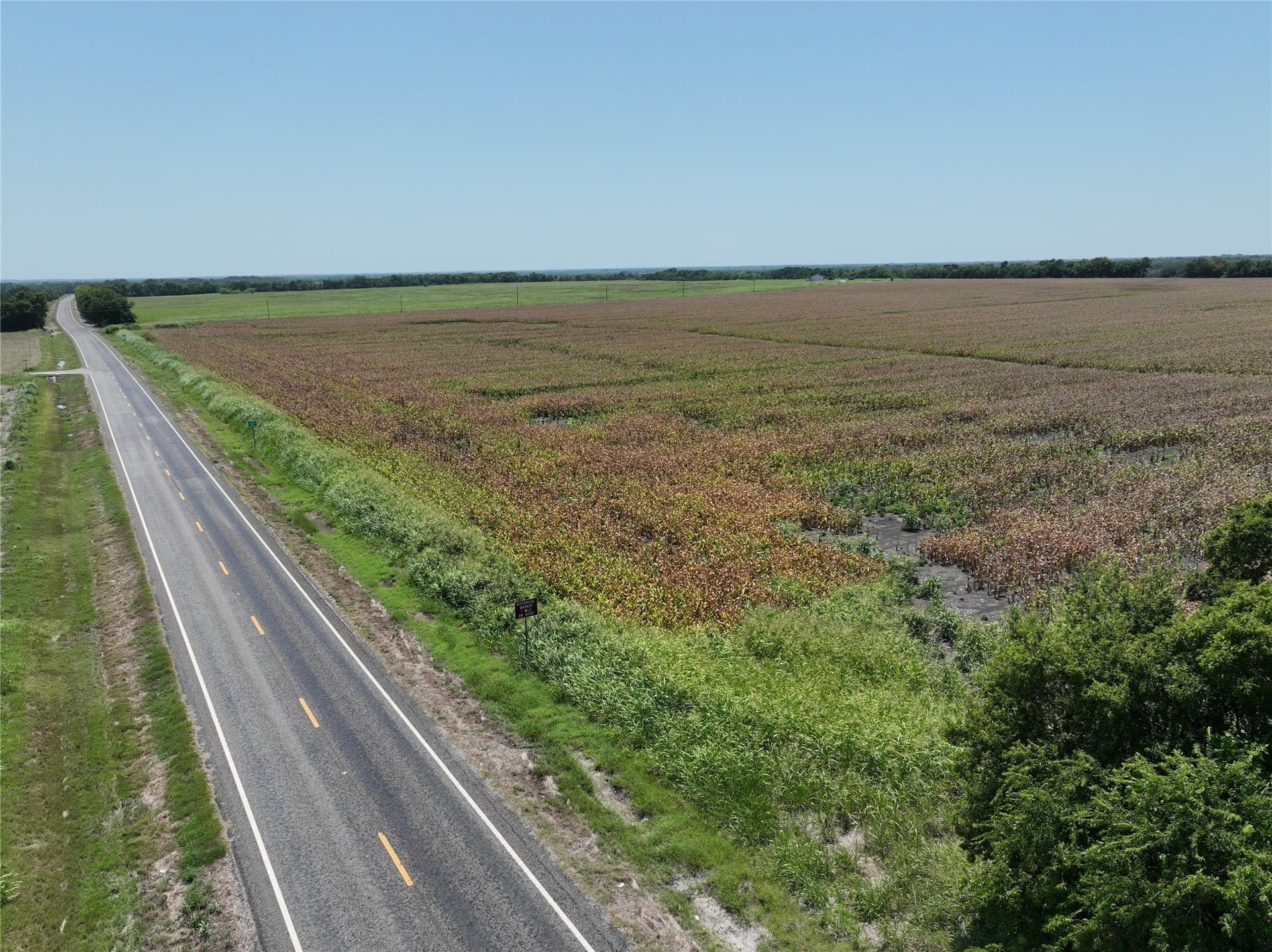 61.72 acres in Lamar County gallery image 3