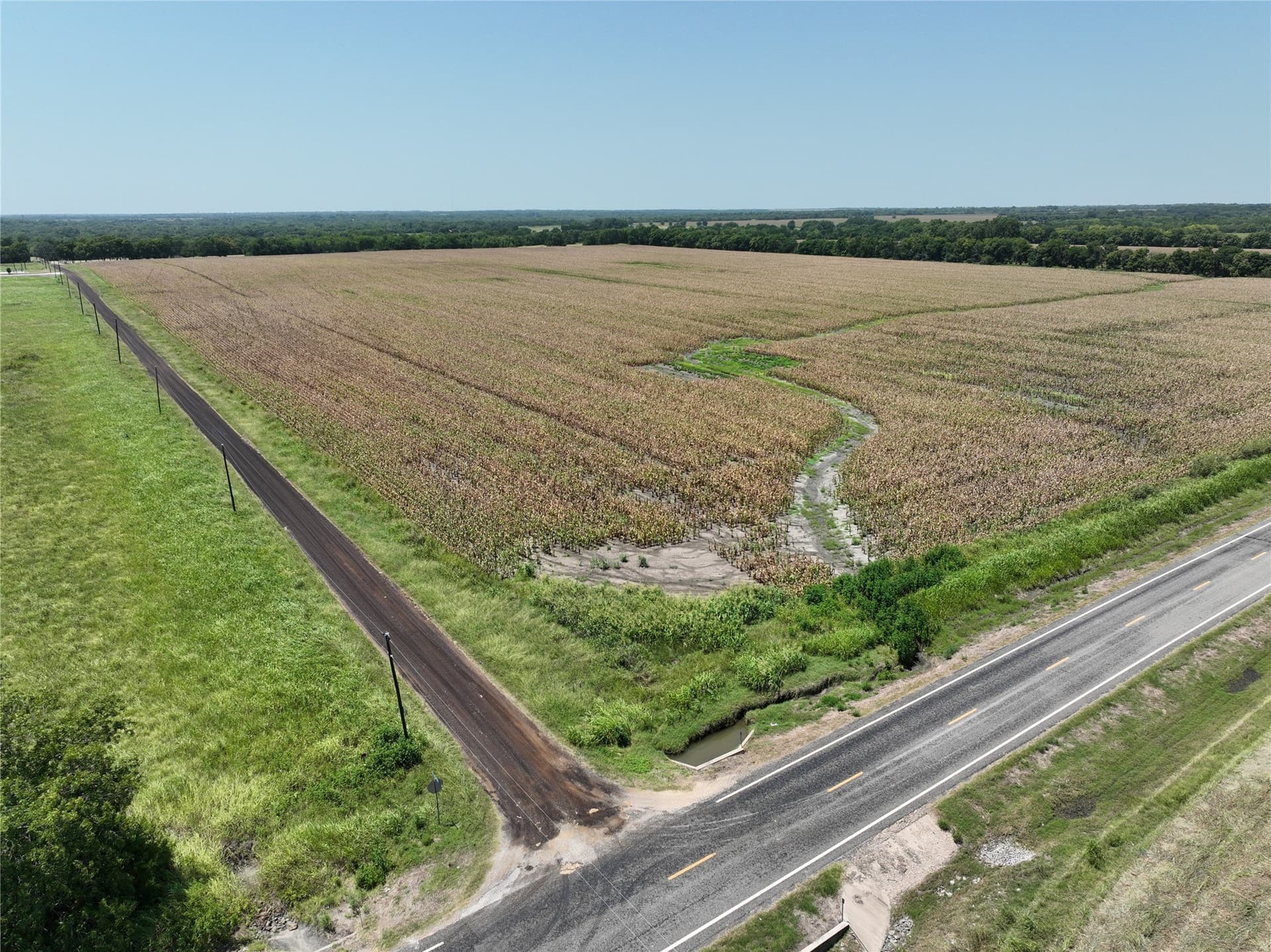 61.72 acres in Lamar County gallery image 4