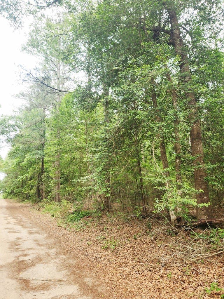 38.52 acres in Texas County gallery image 3
