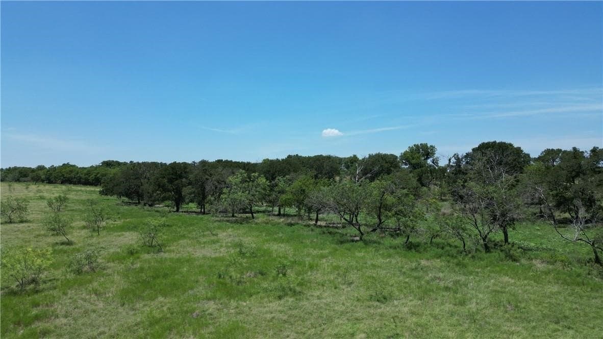 12 acres in Falls County - photo 7