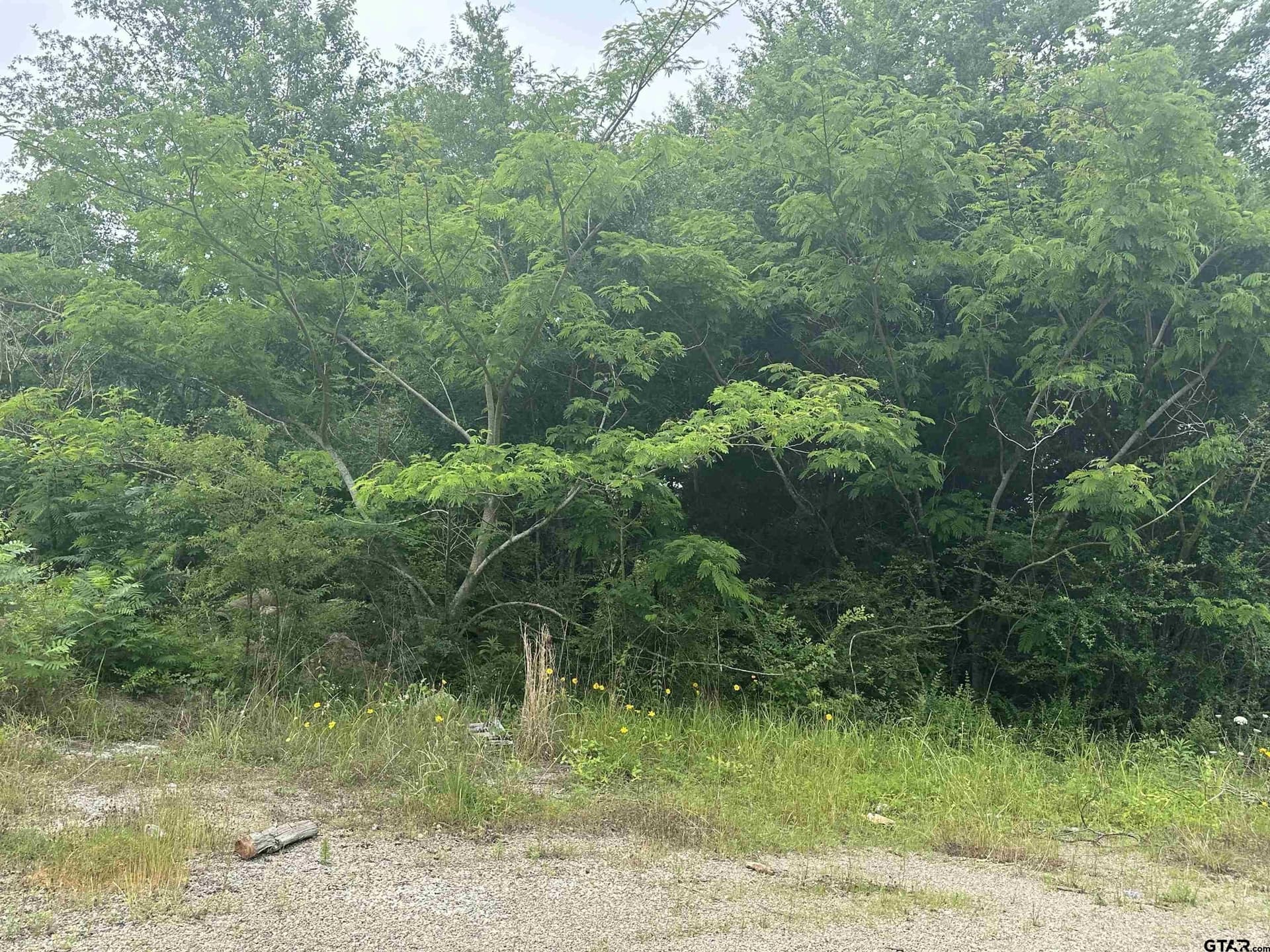 6.08 acres in Smith County gallery image 2
