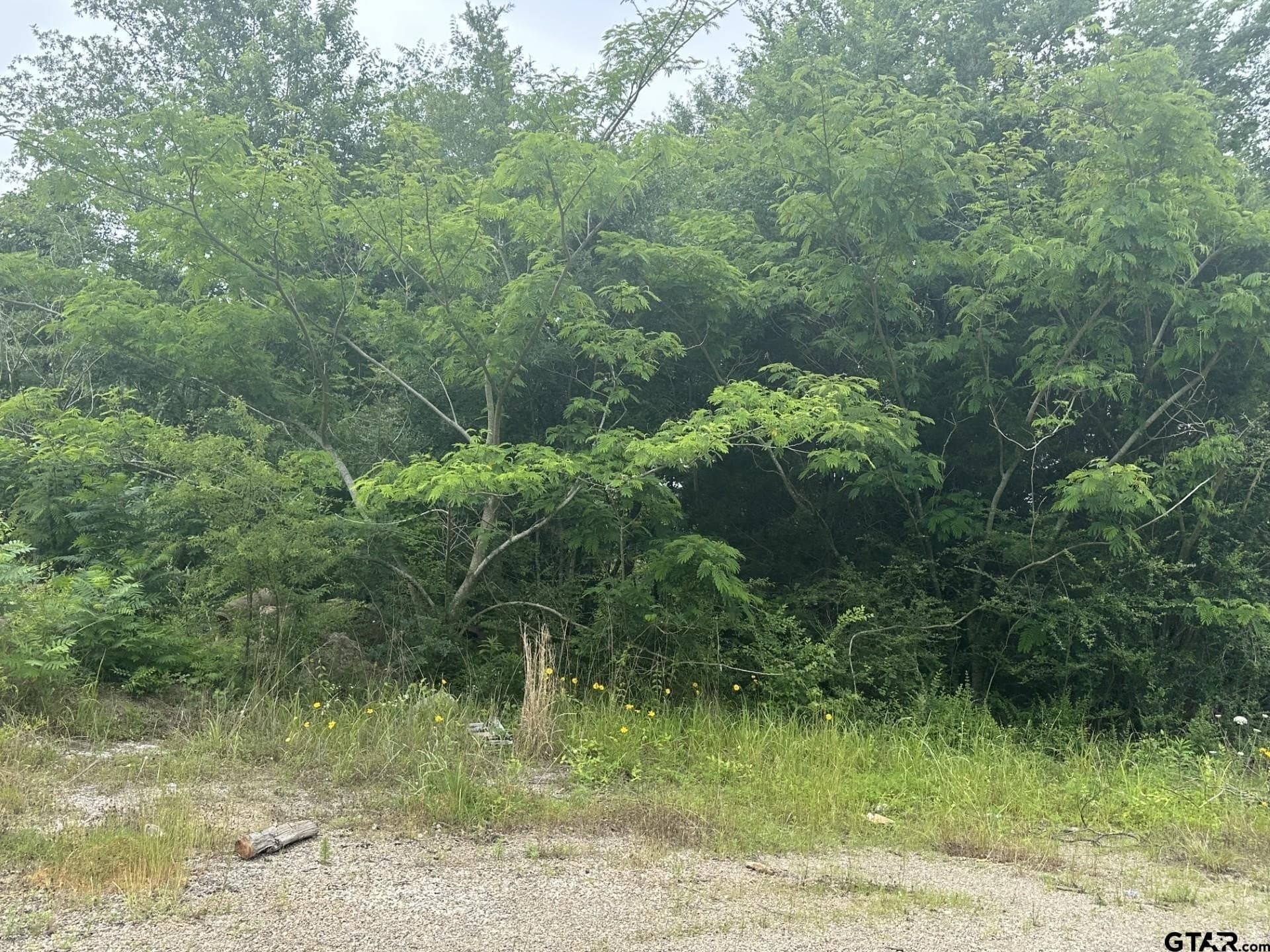 6.08 acres in Smith County featured view