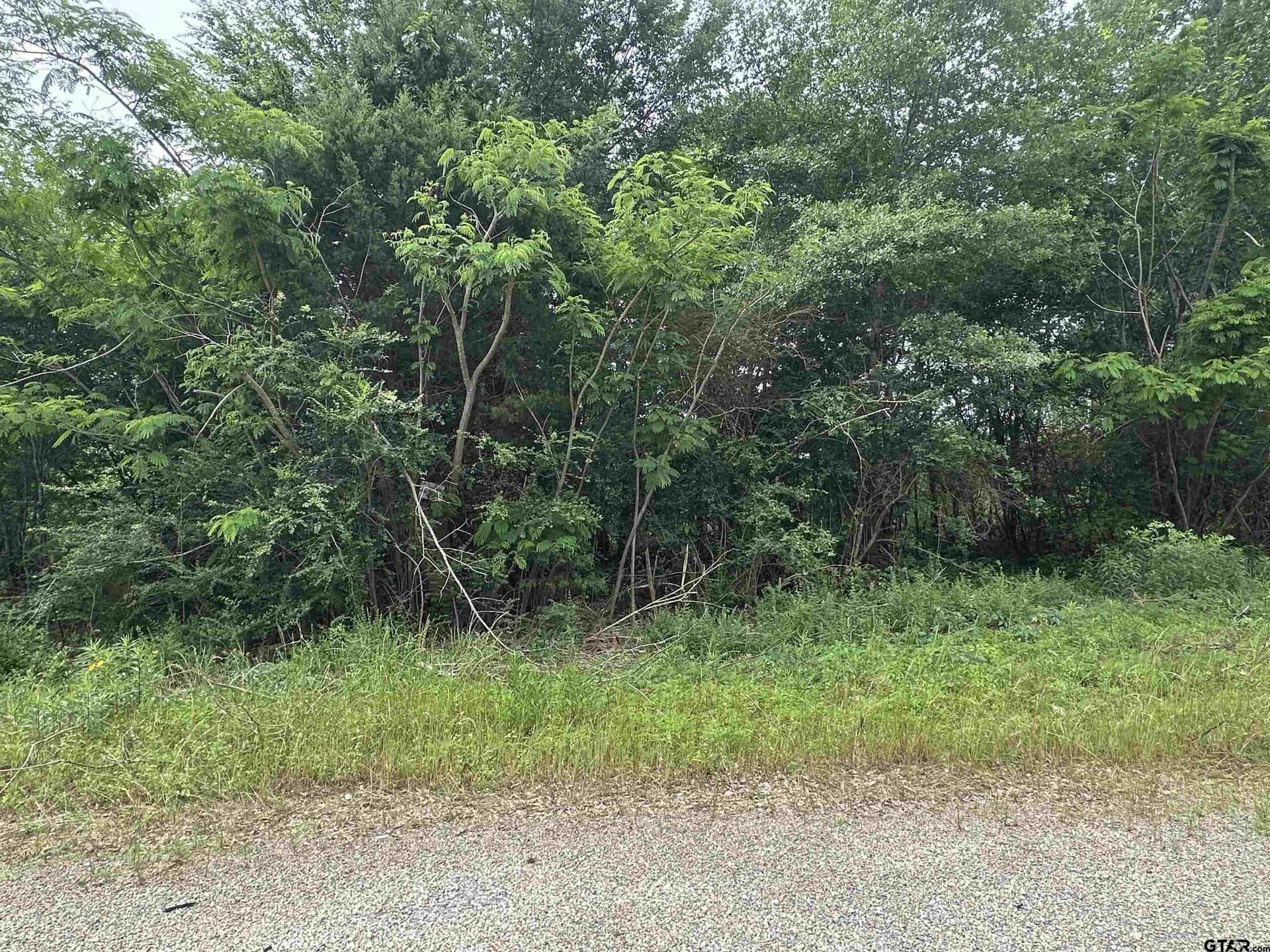 6.08 acres in Smith County gallery image 4