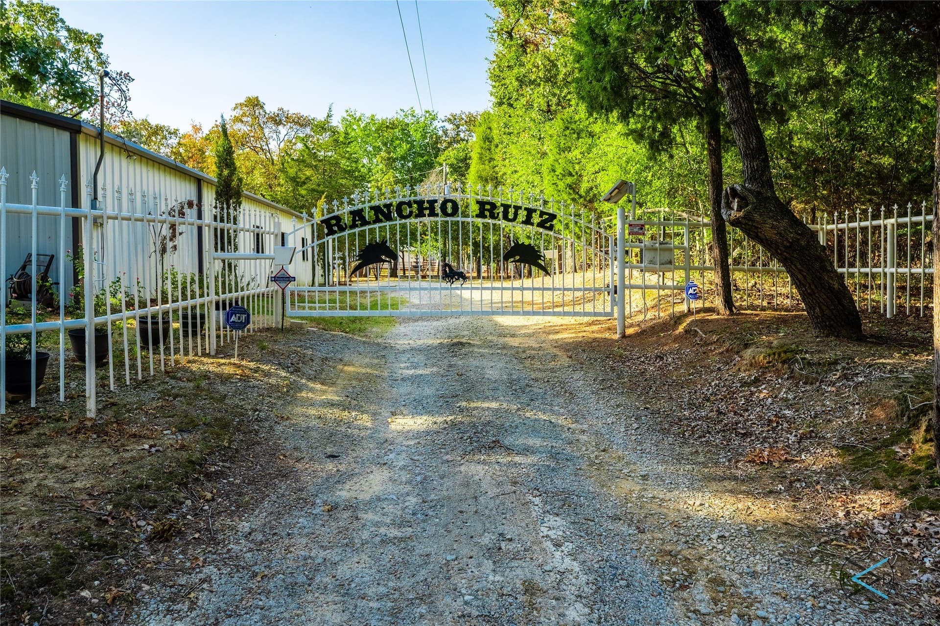 11.94 acres in Henderson County - photo 4