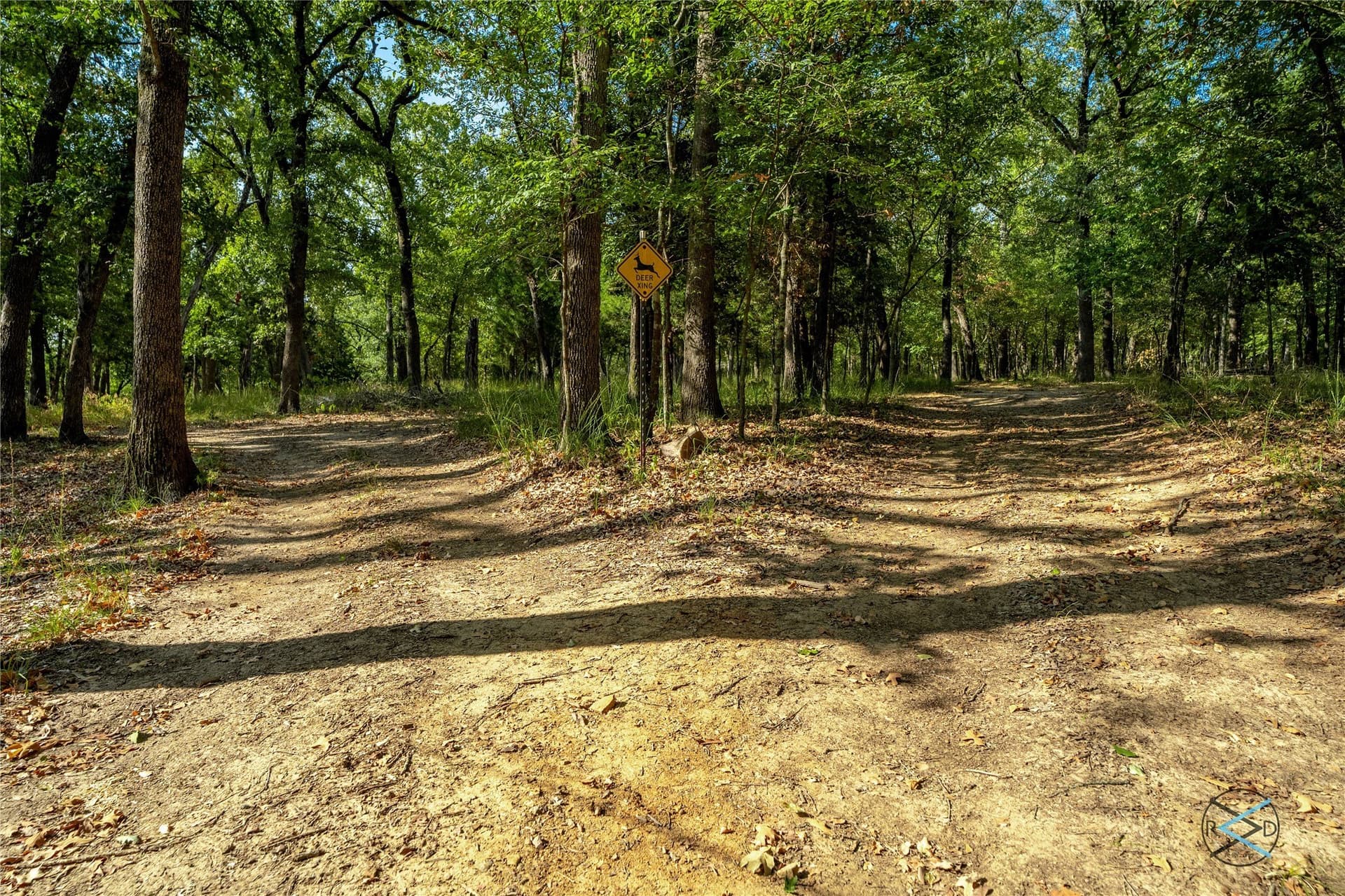 11.94 acres in Henderson County - photo 19