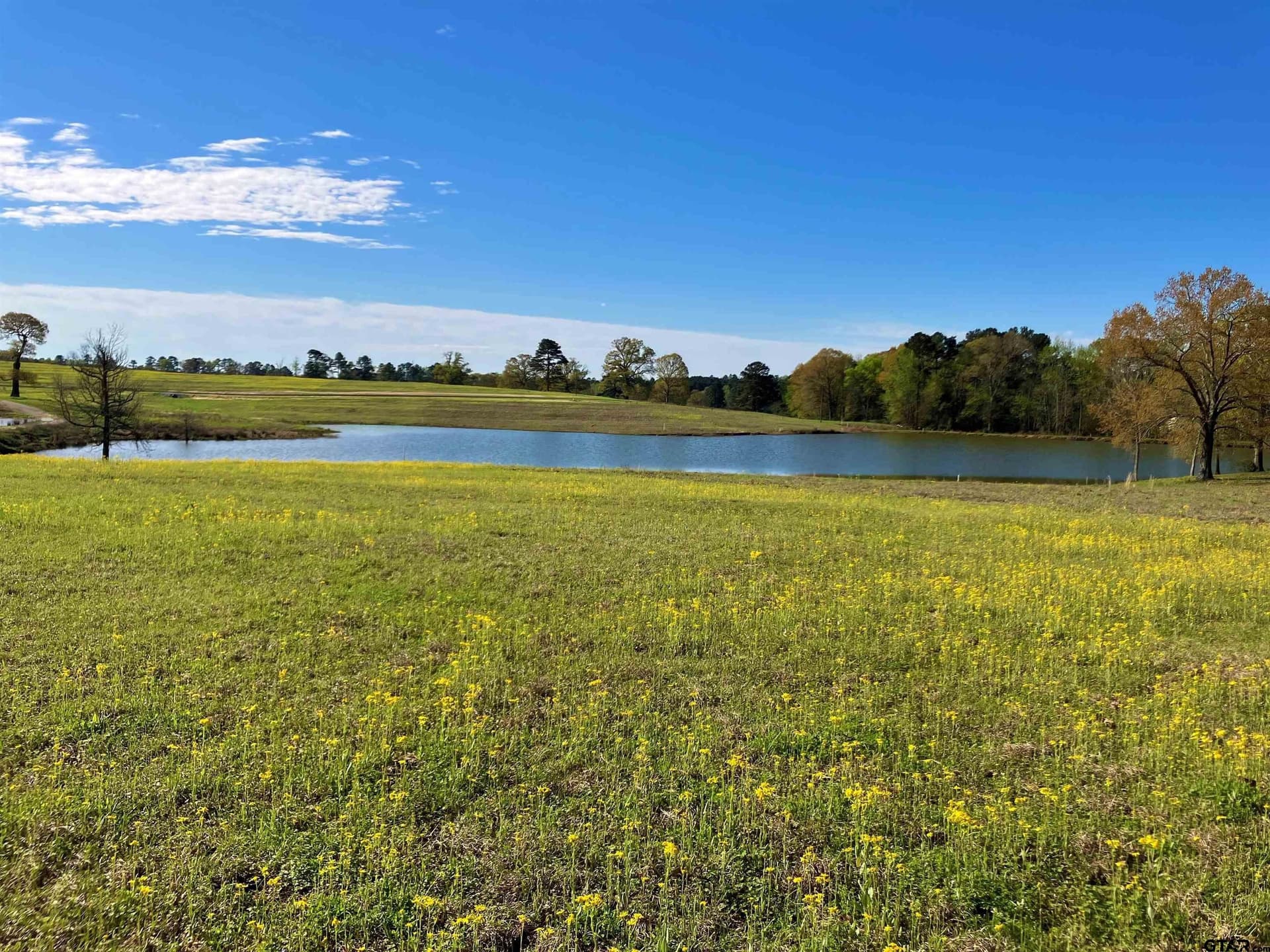 2.01 acres in Upshur County - photo 7