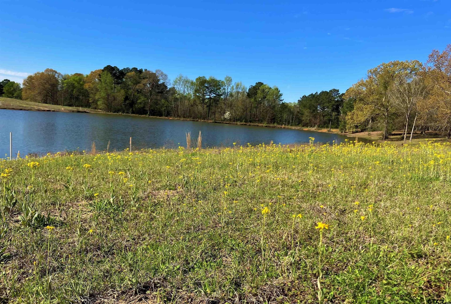 2.01 acres in Upshur County - photo 8