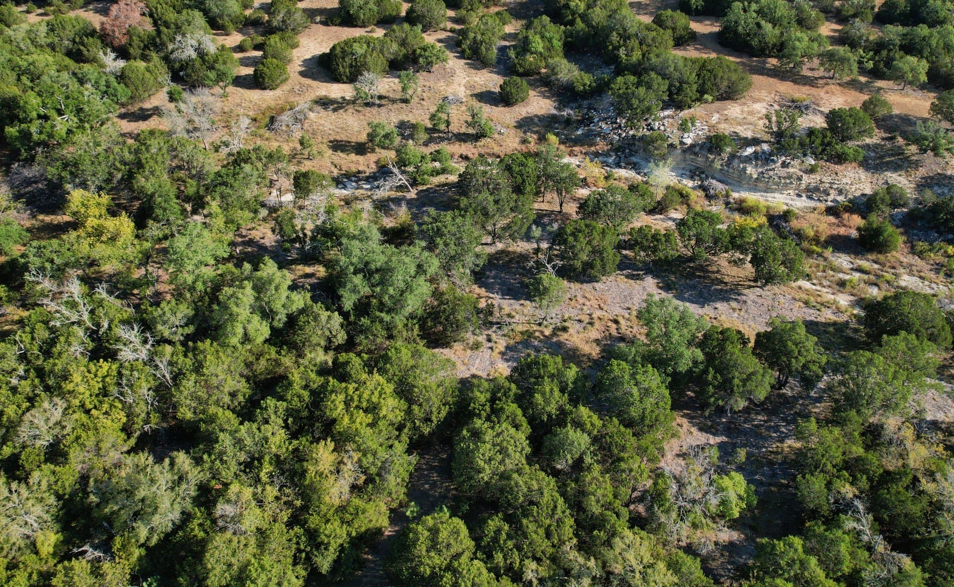 10.02 acres in Hamilton County - photo 12