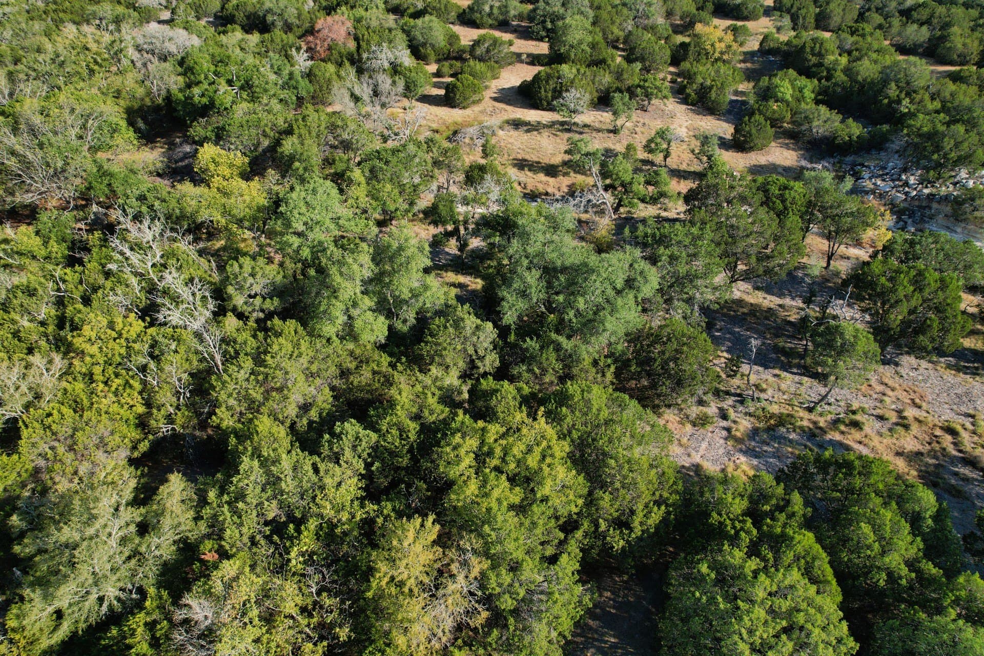 10.02 acres in Hamilton County - photo 10