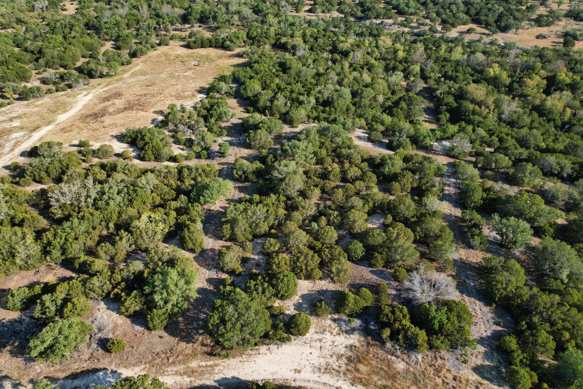 10.02 acres in Hamilton County - photo 8