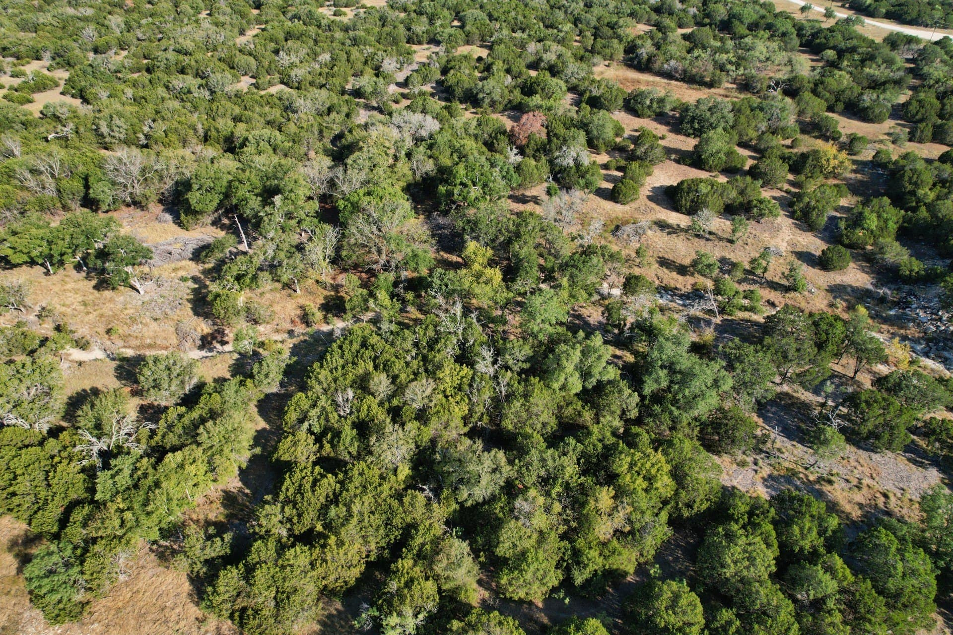 10.02 acres in Hamilton County - photo 11