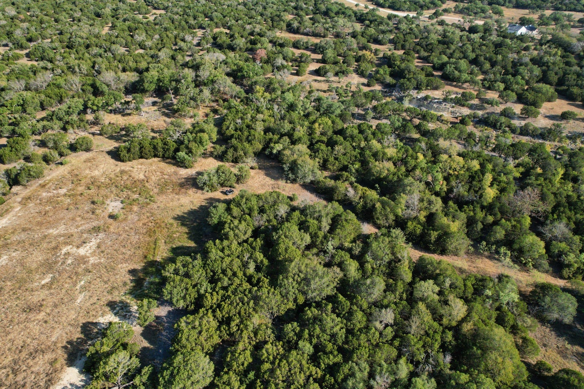 10.02 acres in Hamilton County - photo 9