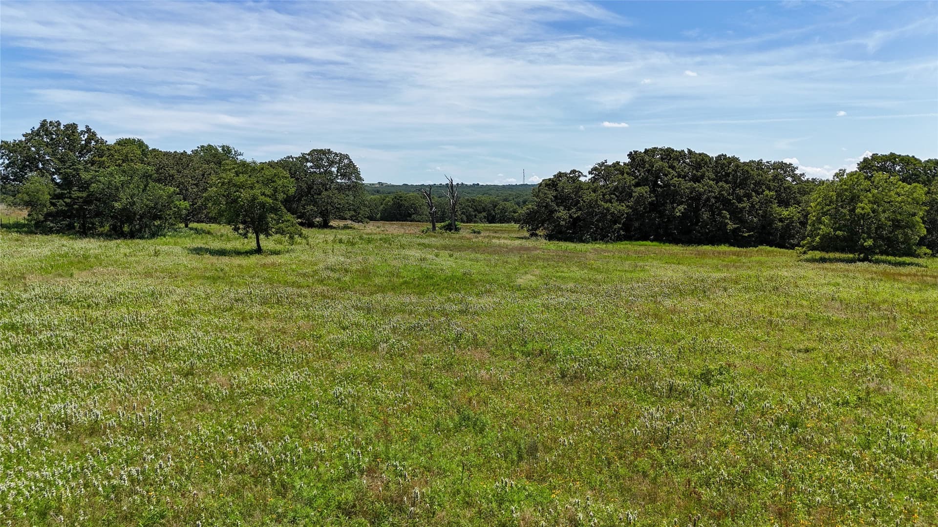 66.4 acres in Montague County - photo 19