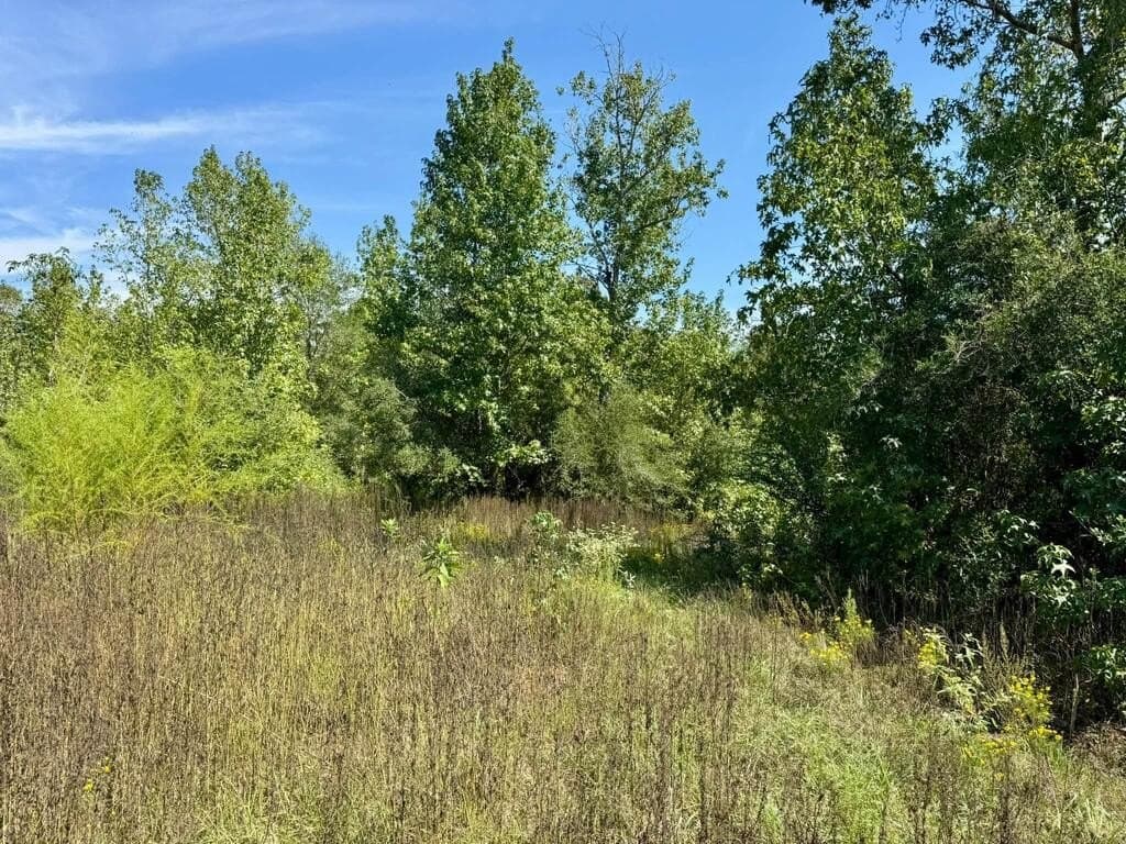 12 acres in Texas County - photo 5